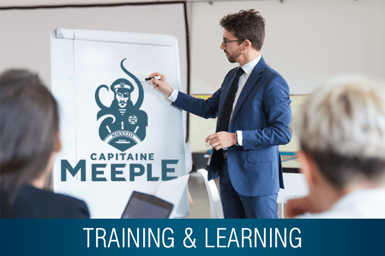 Animation, formation et game design Capitaine Meeple pour les professionnels